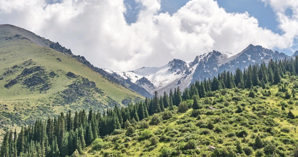 Best Weekend Escapes in Three Rivers for Families and Group Travelers